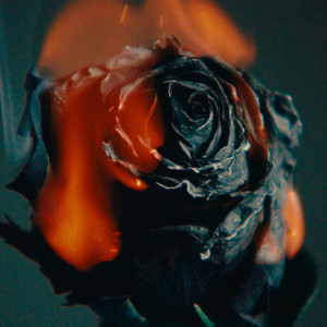 精品录音国产一区在线
