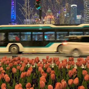 精品录音国产一区在线
